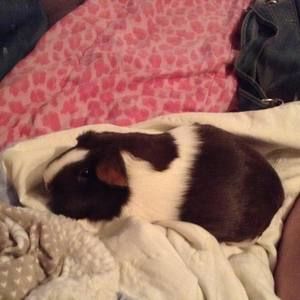 Meet your Posher, Heather